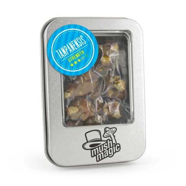 psilocybe-tampanensis Magic Truffle Pandora vacuum sealed package